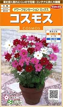 コスモス 71O8S8ON+KL._AC_UF350,